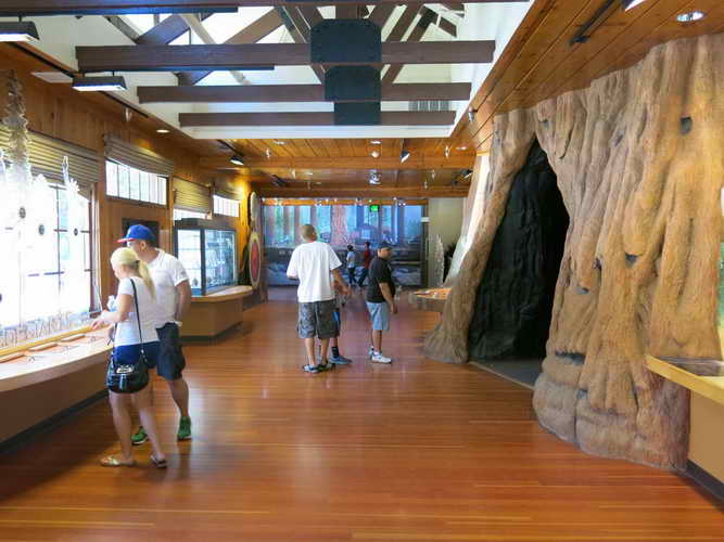 USA_2013-07-07 10-27-08_IMG_1100